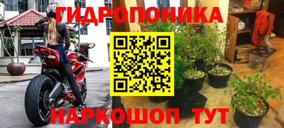 спиды Краснознаменск