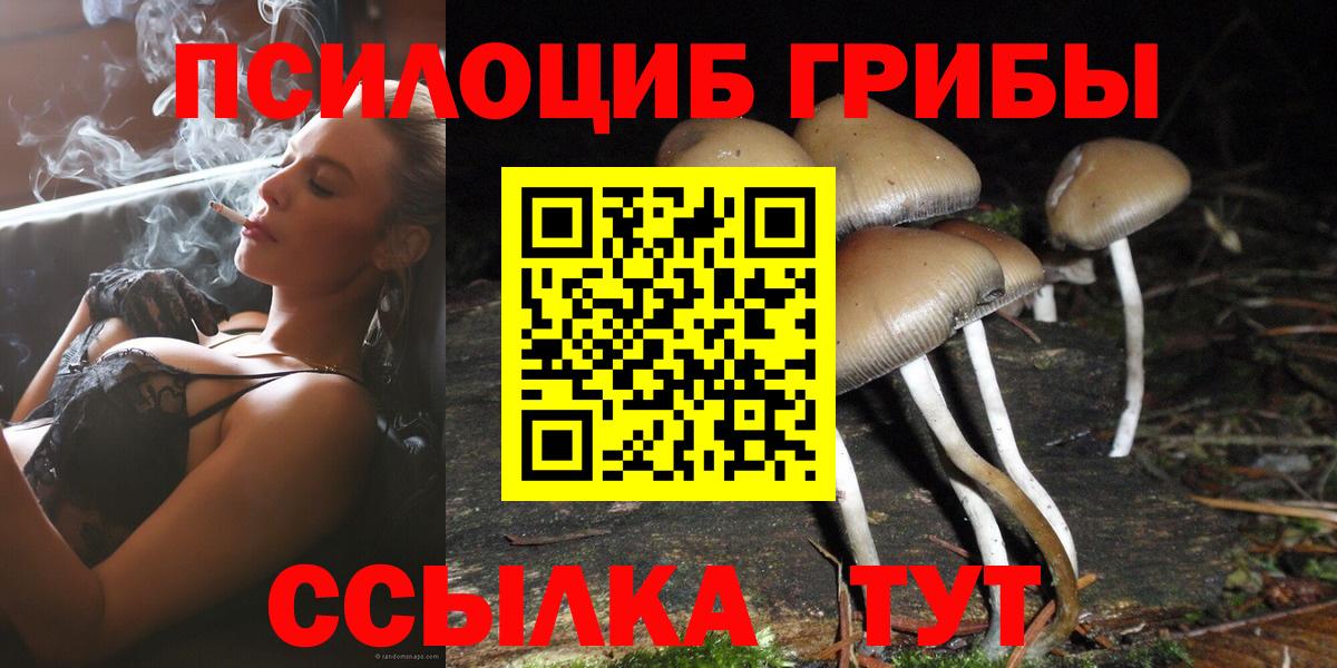 Галлюциногенные грибы Cubensis Дубна
