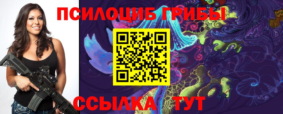 Псилоцибиновые грибы MAGIC MUSHROOMS  Вход с VPN  Дубна 